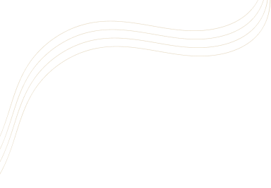DMCCS