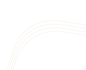 DMCCS