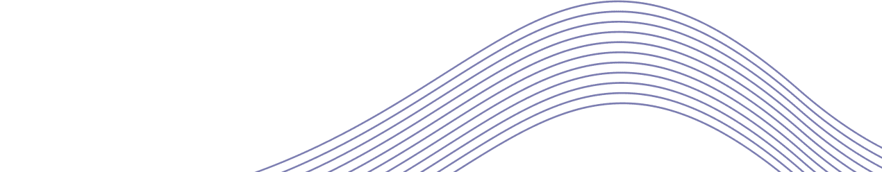 DMCCS
